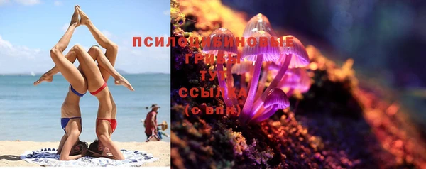 a pvp Михайловск