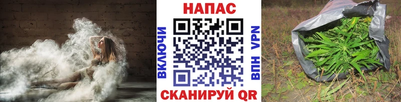 Купить где  Гвардейск  Конопля индика 